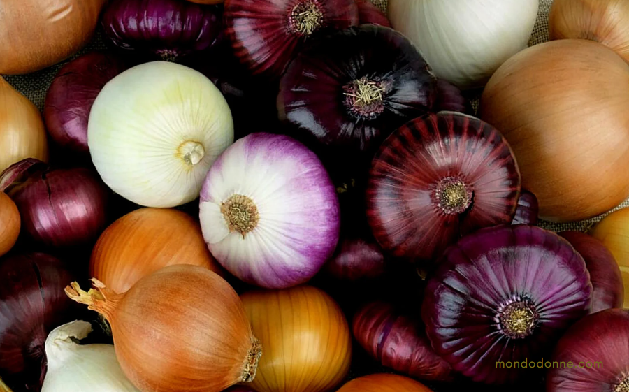 Cipolla, ingrediente base di tante ricette